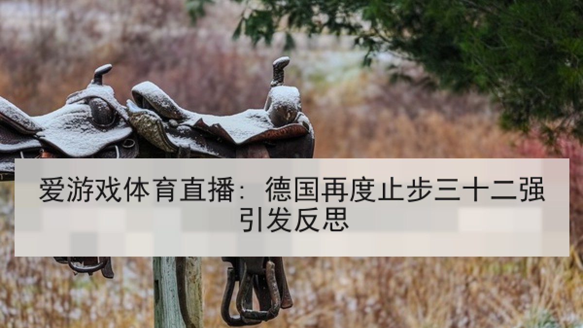 爱游戏体育直播: 德国再度止步三十二强引发反思